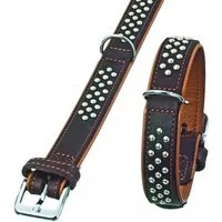 Karlie Hunde-Halsband Karlie Rondo Halsband mit Rundkopfnieten - braun Breite/Länge: 22mm