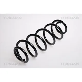 Triscan Feder hinten VW Golf New