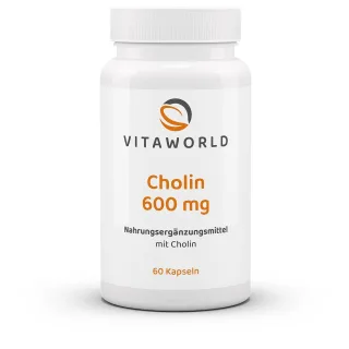 Vitaworld Cholin 600 mg | 60 Kapseln | Cholin-Bitartrat | vegan