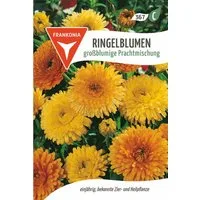 FRANKONIA Blumensamen Ringelblume, großblumige Prachtmischung - Ringelblume-Samen Samen, Calendula officinalis