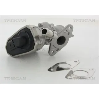 Triscan AGR-Ventil Ford Transit 881316100