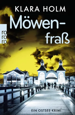 Möwenfraß: Ein Ostsee-Krimi [Taschenbuch] [2014] Holm Klara
