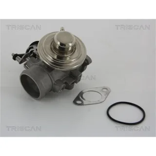 Triscan AGR-Ventil Audi Seat Skoda VW 881329001