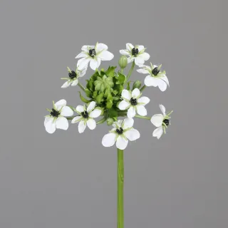 Kunstblume Ornitogalum