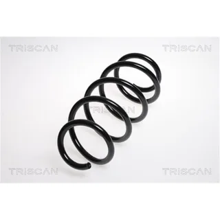 Triscan Feder vorne Audi A3 8P 875029176