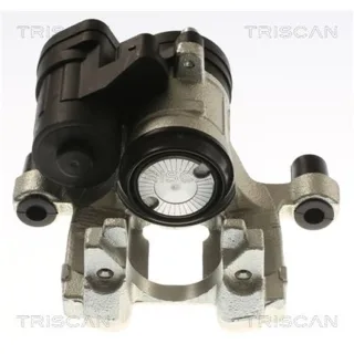 Triscan Bremssattel hinten links Audi Seat Skoda VW 8175292009