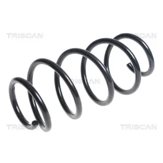 Triscan Feder vorne VW Eos Touran