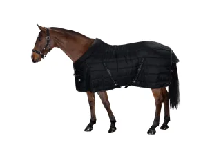 Stalldecke ES Sigma 100 g