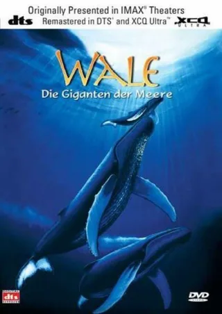 Wale - Giganten der Meere [DVD] [2003]