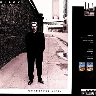 Wonderful Life [Audio CD] Black