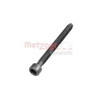 Metzger Schraube f?r Einspritzd?senhalter Audi Ford Seat Skoda VW