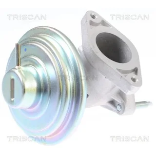 Triscan AGR-Ventil Ford Mondeo Transit 2,0 881316213