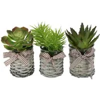 Kunstblume Künstliche Sukkulenten im Topf 3er Set 15cm Agave Aloe Vera Pflanze Kaktus, I.GE.A., Höhe 15 cm, Kunstkaktus Kaktus Pflanze Deko Dekopflanze Kalanchoe Zimmerpflanze