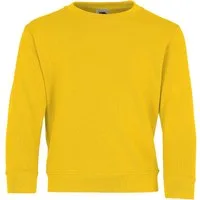Fruit of the Loom Sweatshirt Fruit of the Loom Classic Set-In Sweat Kids