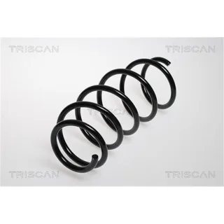 Triscan Feder vorne Opel Astra H 875024049