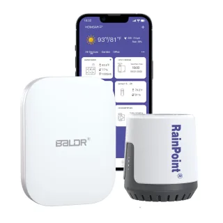 RAINPOINT Wireless Digital Rain Gauge Outdoor with App Control Smart Rain Sensor with Accurate Rain Gauge Monitoring