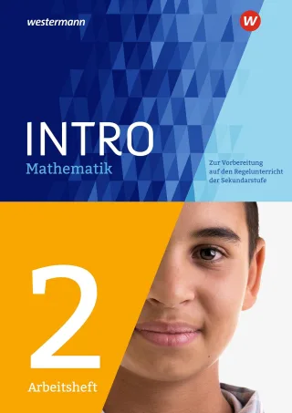 INTRO Mathematik SI: Arbeitsheft 2