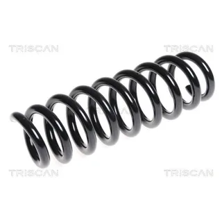 Triscan Feder hinten BMW 1er E81 E87 3er E92