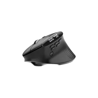 Acer Smart Fit | hp.expbg.020 | Maus - vertikal