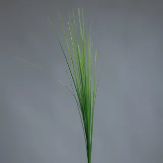 70 cm