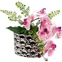 Kunstpflanze Orchidee, I.GE.A., Höhe 23 cm