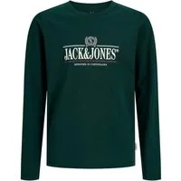 Jack & Jones Junior Langarmshirt JORFREDERIKSBERG GRAPHIC BOX TEE LS JNR Baumwolle, regular fit