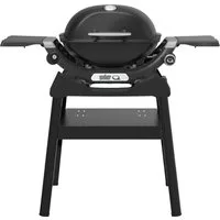 Weber Gasgrill Q1200N, Mit Deckelthermometer, abnehmbaren Seitentischen und Untergestell