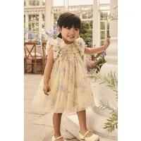 Next Tüllkleid Kleid mit Rüschenschultern und Mesh (1-tlg)