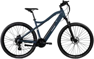 Tretwerk "Commander Plus" 24 Gang Shimano Altus M310 Schaltwerk Kettenschaltung Heckmotor 250 W Pedelec, Elektrofahrrad für Damen und Herren, MTB