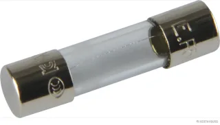 HERTH&BUSS Sicherung, Glas, F flink, 5 x 20mm, 250V max. - 50295044