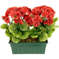 Kunstblume Geranie, OTTO home, Höhe 36 cm, Im Kasten