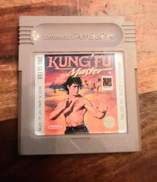 Kung Fu Master [Nintendo Game Boy]