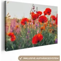 OneMillionCanvasses® Leinwandbild Mohn - Blumen - Rot - Lila - Wiese, Fotodruck (1 St), Leinwand Bilder Klein, Wand Dekoration Aesthetic 30x20 cm