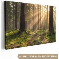 OneMillionCanvasses® Leinwandbild Wald - Sonnenlicht - Gras, Fotodruck (1 St), Leinwand Bilder Klein, Wand Dekoration Aesthetic 30x20 cm