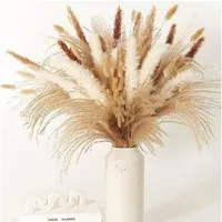 Trockenblume Pampasgras Trockenblumen Deko,75 Stück Pampasgras Getrocknet Braun,Weiß Pampasgras Flauschige Wedel, Lagurus und Schilfgräser, ibettertec, Trockenblumen Strauß für Hochzeit Wohnzimmer Vasen Boho Dekor