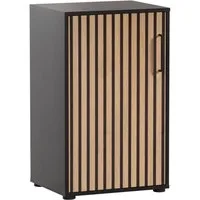 welltime Aktenschrank Hank, Aktenschrank, Made in Germany, B: 50 cm Solide Verarbeitung - Dieses Produkt ist in Deutschland gefertigt
