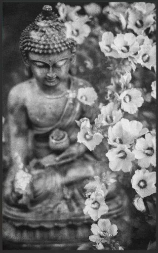 Fussmatte Buddha 7584 | Größe: 130 cm x 170 cm
