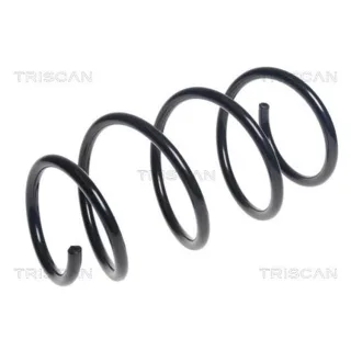 Triscan Feder vorne Toyota Rav 4 3 2,0