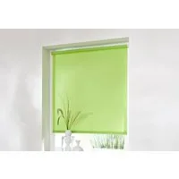 Seitenzugrollo Thermo Klemmfix-Rollo, K-HOME, verdunkelnd, ohne Bohren, Klemmfix, 1 Stück