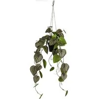 Kunstpflanze Zwergpfeffer, Creativ green, Höhe 85 cm, mit formschönen Ranken