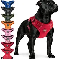 Reichstadt Hunde-Geschirr RS Pets Norwegergeschirr 25RSP083, Polyester, atmungsaktives Netzgewebe und robuster Oxford-Stoff