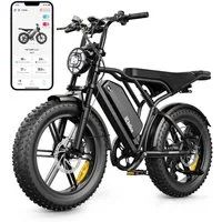 SISIGAD E-Bike Mountainbike 20'' Fat Tire E-Bike-250W Motor, 48V 15Ah, herausnehmbarem Akku, APP, Shimano, Heckmotor, 720 Wh, 7-Gang-Schaltung, 4 Fahrmodi, LCD-Display,Vollfederung,leistungsstark