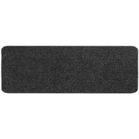 Siena Home Fußmatte Stufenmatte Step anthrazit 25x60cm Türmatte Schmutzfangmatte Fußabtret