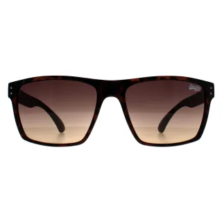 Superdry Square Herren Havanna Braun Kobe