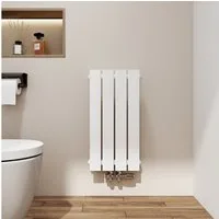 EMKE Heizkörper Anthrazit/Weiß Einlagig Flach Design Paneelheizkörper Breite: 30cm, Vertikal, Mittelanschluss 210W für 3qm Raum