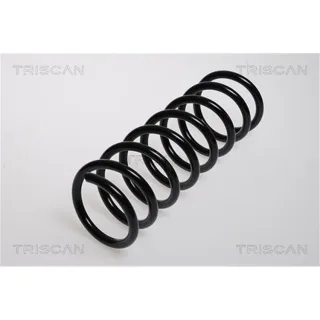 Triscan Feder hinten Ford Focus C-Max