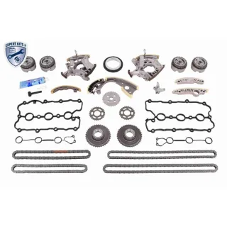 Vaico Steuerkettensatz Audi A4 A6 A8 V10-10011