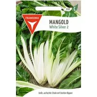 FRANKONIA Gemüsesamen Mangold, White Silver 2 - Mangold-Samen Saatgut Samen, Beta vulgaris