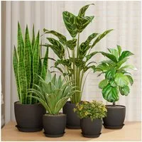 Bamworld Blumentopf 5er Set Blumentöpfe mit Löchern & Untersetzern, Kunststoff Schwarz (5 St), Verschiedene Größen für drinnen & draußen, modern & vielseitig