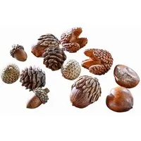 Mirabeau Dekoobjekt Herbstdeko 12er Set Vibius braun